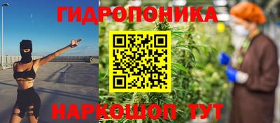 хмурый Дубна