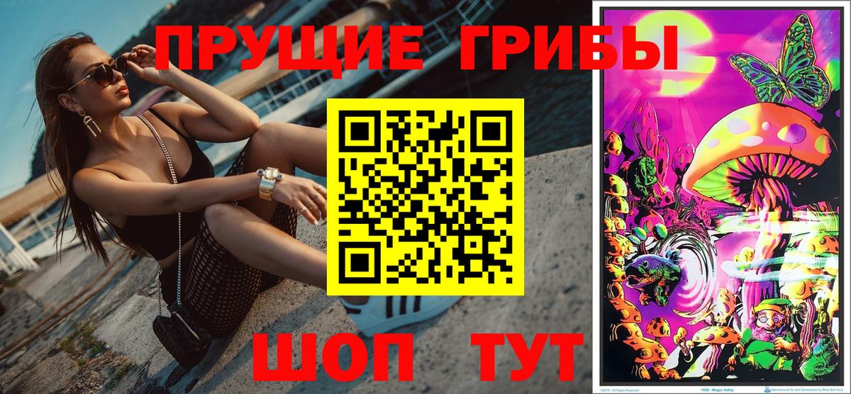 купить   Псилоцибиновые грибы мухоморы  Вход с VPN  Кубинка 