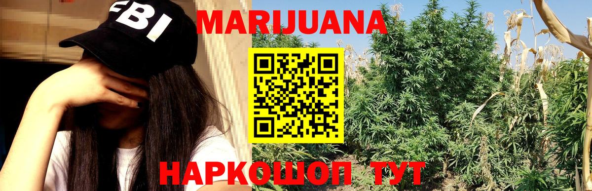 Конопля White Widow  Канабис конопля  Шишки марихуана планчик  Канабис индика  Кубинка  Вход с VPN 